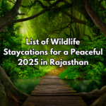 List of Wildlife Staycations for a Peaceful 2025 in Rajasthan