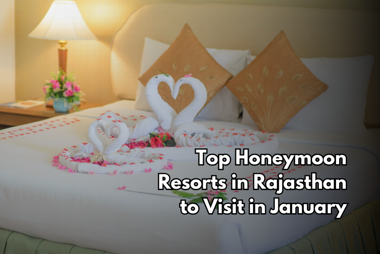 Top Honeymoon Resorts in Rajasthan to Visit in January